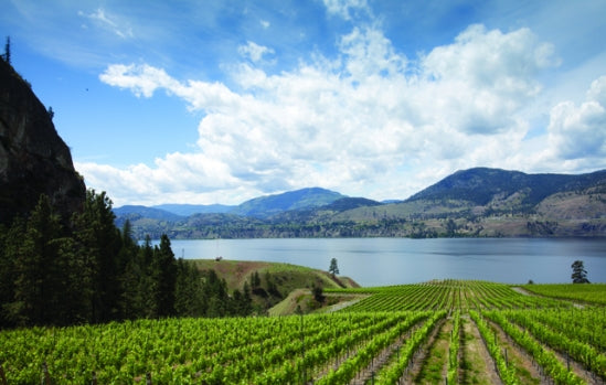 BC wineries up London presence