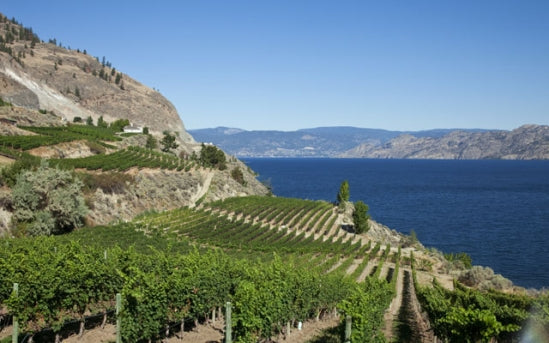 “Welcome to the New Okanagan” by Anthony Gismondi