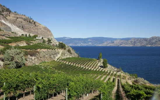 Welcome to the New Okanagan