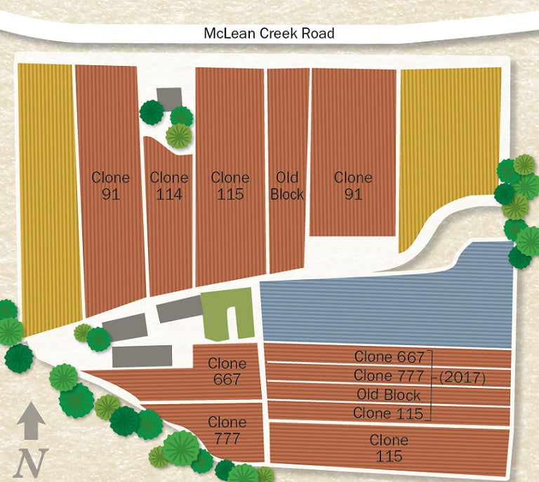 Map of McLean Creek Road Vineyard