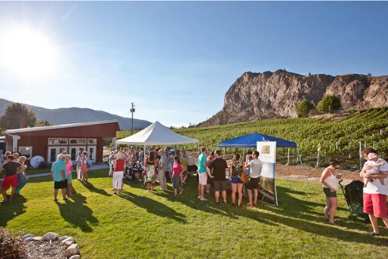 Pinot Noir Celebration a voyage of discovery for both consumers and producers