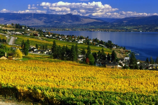 Okanagan Valley #2 Wine Region in the World!
