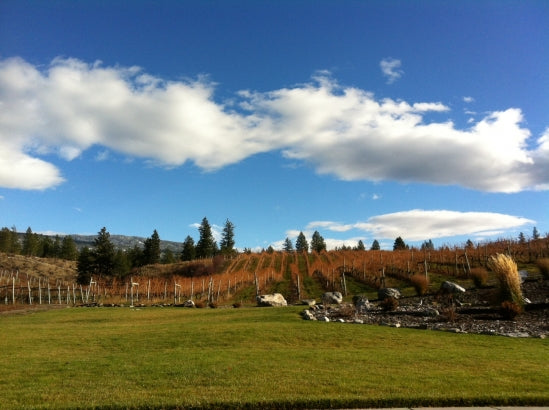 Okanagan Valley in Top 10 Wine Destinations Around the World