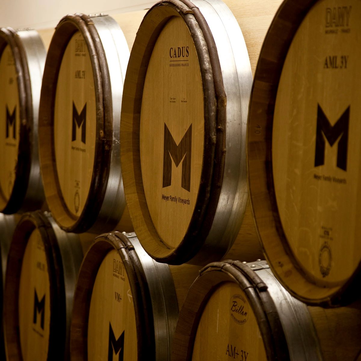 Meyer Family Vineyards barrels in the cellar