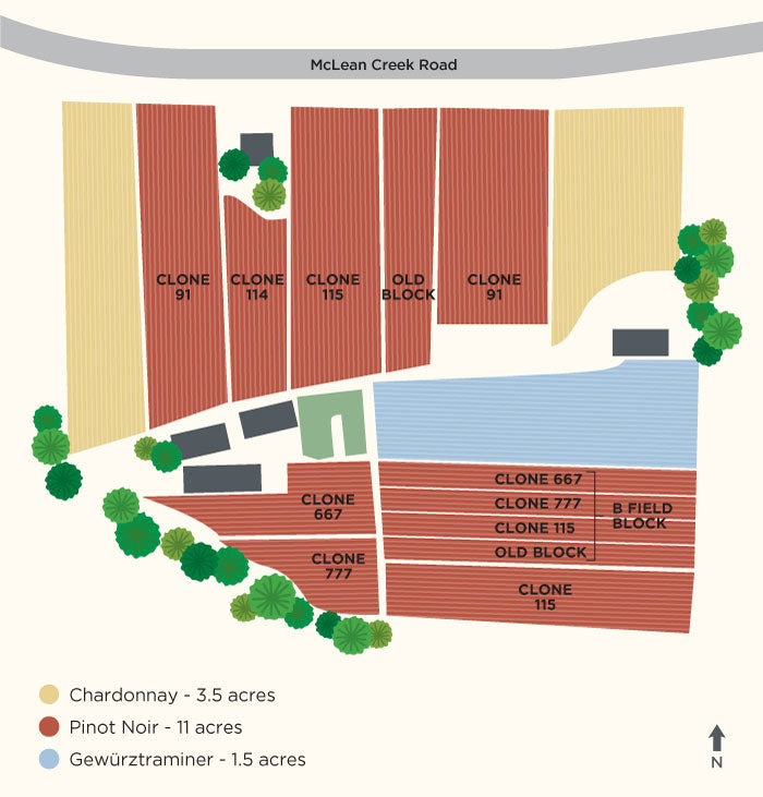 Map of McLean Creek Rd Vineyard